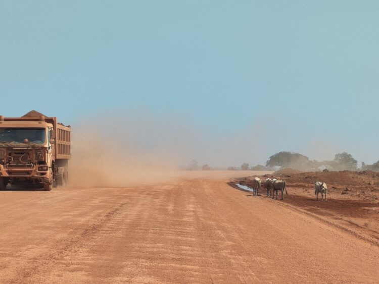 Les répercussions de l’exploitation de la bauxite sur l’élevage et la pêche dans la préfecture de Boké en Guinée